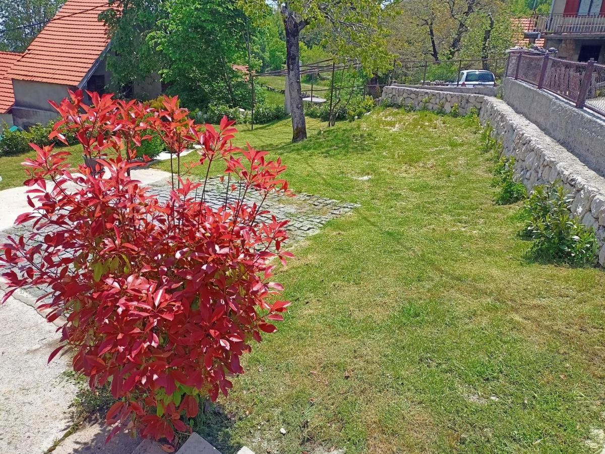 Holiday In The National Park Lovcen Cetinje Exterior photo
